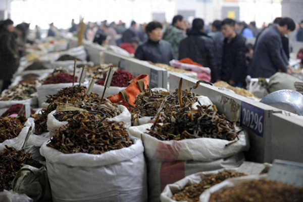 赢盈配资 从几块钱到几百块! 中药价格疯涨, 普通人还吃得起吗?