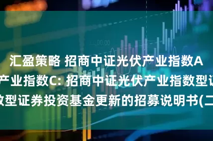 汇盈策略 招商中证光伏产业指数A,招商中证光伏产业指数C: 招商中证光伏产业指数型证券投资基金更新的招募说明书(二零二五年第一号)